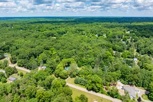 4445 Sassafras Ln, Battle Creek, MI 49017 - Photo 61