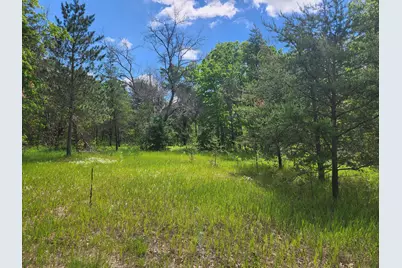 3496 S Michigan 37, Baldwin, MI 49304 - Photo 5