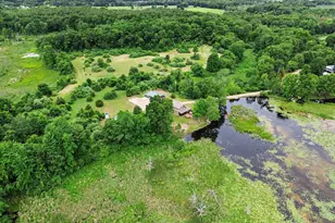15303 Seymour Rd, Grass Lake, MI 49240 - Photo 47