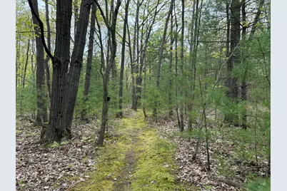 Parcel D Critter Trail, Manistee, MI 49660 - Photo 5