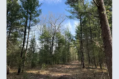 Parcel D Critter Trail, Manistee, MI 49660 - Photo 1