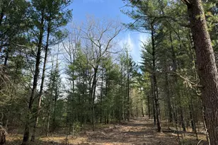 Parcel D Critter Trail, Manistee, MI 49660 - Photo 1