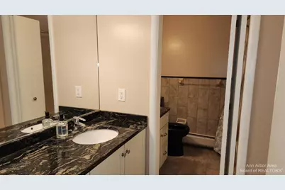 1217 Island Drive #204, Ann Arbor, MI 48105 - Photo 11