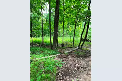 00 Pierce Road, Stanwood, MI 49346 - Photo 1
