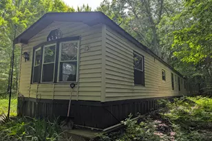 1307 N Blacksmith Ln, White Cloud, MI 49349 - Photo 3