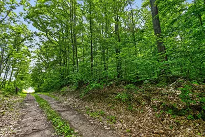 V/L E 24th Street, Reed City, MI 49677 - Photo 5