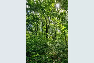 V/L E 24th Street, Reed City, MI 49677 - Photo 17