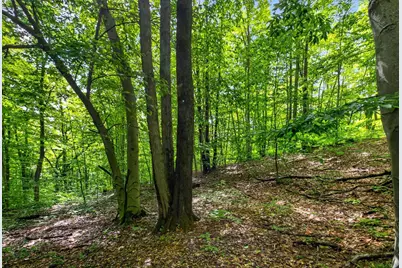 V/L E 24th Street, Reed City, MI 49677 - Photo 3