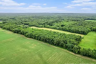 1951 N Norris Rd, Middleville, MI 49333 - Photo 21