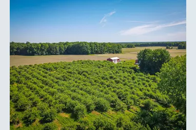 V/L 131.43 E Hazel Road, Hart, MI 49420 - Photo 31