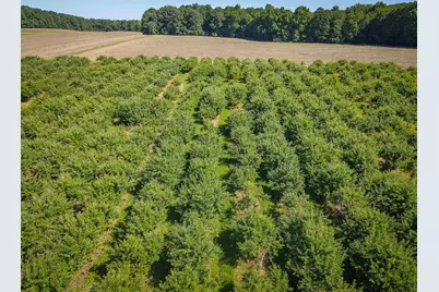 V/L 131.43 E Hazel Road, Hart, MI 49420 - Photo 21