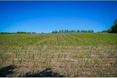 V/L 131.43 E Hazel Road, Hart, MI 49420 - Photo 87