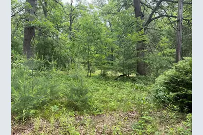 6250 Clover Road, Twin Lake, MI 49457 - Photo 1