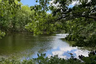 8980 Canyon Springs Ct, Canadian Lakes, MI 49346 - Photo 3