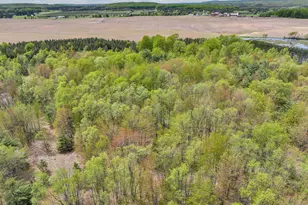2560 S 25 Rd, Boon, MI 49618 - Photo 79