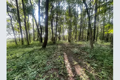 V/L Knight Road, Marcellus, MI 49067 - Photo 3