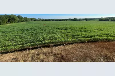 V/L Knight Road, Marcellus, MI 49067 - Photo 15