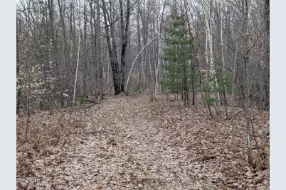 21 Mile Road, Evart, MI 49631 - Photo 9