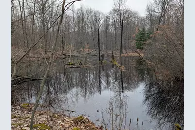 21 Mile Road, Evart, MI 49631 - Photo 11