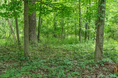 6635 Vinton Avenue NW, Comstock Park, MI 49321 - Photo 31