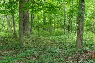 6635 Vinton Ave NW, Comstock Park, MI 49321 - Photo 31