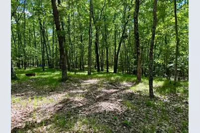 6922 W Twin Lake Drive, Irons, MI 49644 - Photo 43