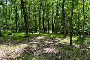 6922 W Twin Lake Dr, Irons, MI 49644 - Photo 43