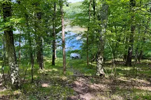 6922 W Twin Lake Dr, Irons, MI 49644 - Photo 9
