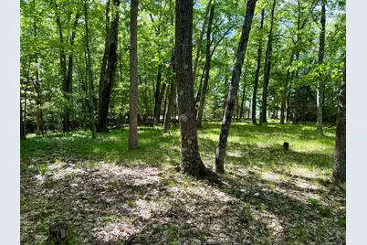 6922 W Twin Lake Drive, Irons, MI 49644 - Photo 43
