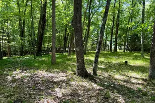 6922 W Twin Lake Dr, Irons, MI 49644 - Photo 43