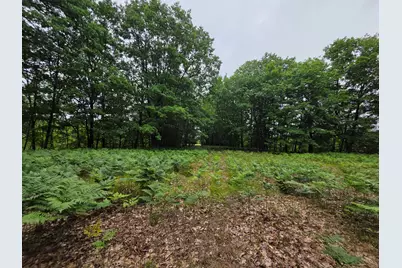 Madison Road, Hesperia, MI 49421 - Photo 7
