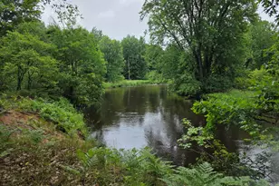 Madison Rd, Hesperia, MI 49421 - Photo 1