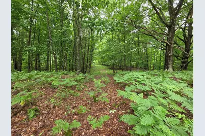 Madison Road, Hesperia, MI 49421 - Photo 15