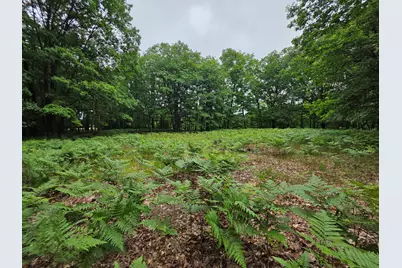 Madison Road, Hesperia, MI 49421 - Photo 5