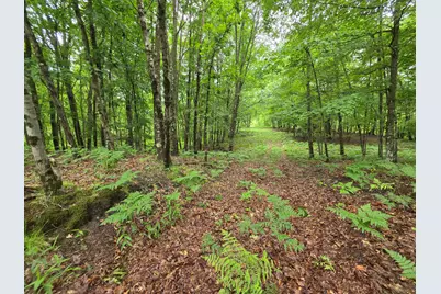 Madison Road, Hesperia, MI 49421 - Photo 19