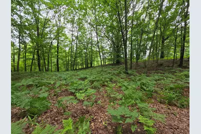 Madison Road, Hesperia, MI 49421 - Photo 9