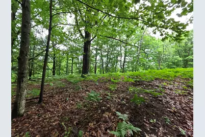 Madison Road, Hesperia, MI 49421 - Photo 17