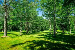 84 Thelen Dr, Gobles, MI 49055 - Photo 45