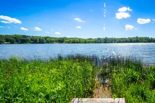 84 Thelen Dr, Gobles, MI 49055 - Photo 39