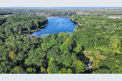 10041 County Road 215, Grand Junction, MI 49056 - Photo 5