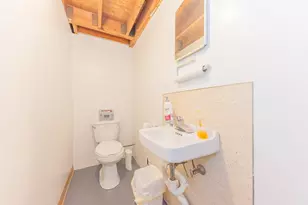 641 Louise Dr, Ann Arbor, MI 48103 - Photo 35