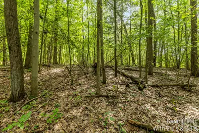 V/L Shady Lane, Fenwick City, MI 48834 - Photo 25