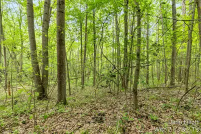 V/L Shady Lane, Fenwick City, MI 48834 - Photo 13