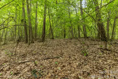 V/L Shady Lane, Fenwick City, MI 48834 - Photo 11