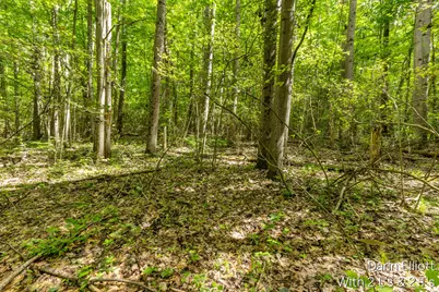V/L Shady Lane, Fenwick City, MI 48834 - Photo 21