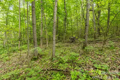V/L Shady Lane, Fenwick City, MI 48834 - Photo 19