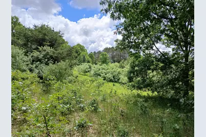 24A E Beyer Road, Fountain, MI 49410 - Photo 5