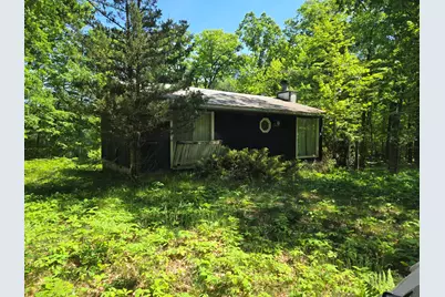 294 W Ingerman Drive, Baldwin, MI 49304 - Photo 1