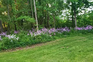 63062 Lakeshore Dr, Dowagiac, MI 49047 - Photo 11