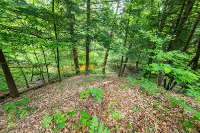 6068 S 142nd Avenue, Rothbury, MI 49452 - Photo 41